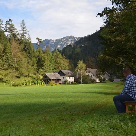 The Farmhouse Bevsek Osep Solčava المظهر الخارجي الصورة