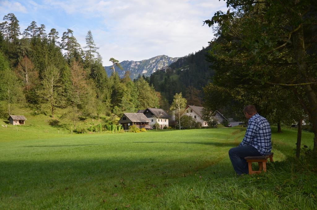 The Farmhouse Bevsek Osep Solčava المظهر الخارجي الصورة