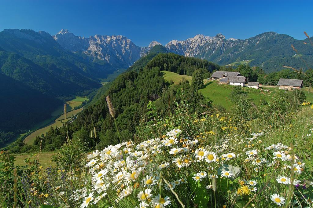 The Farmhouse Bevsek Osep Solčava المظهر الخارجي الصورة